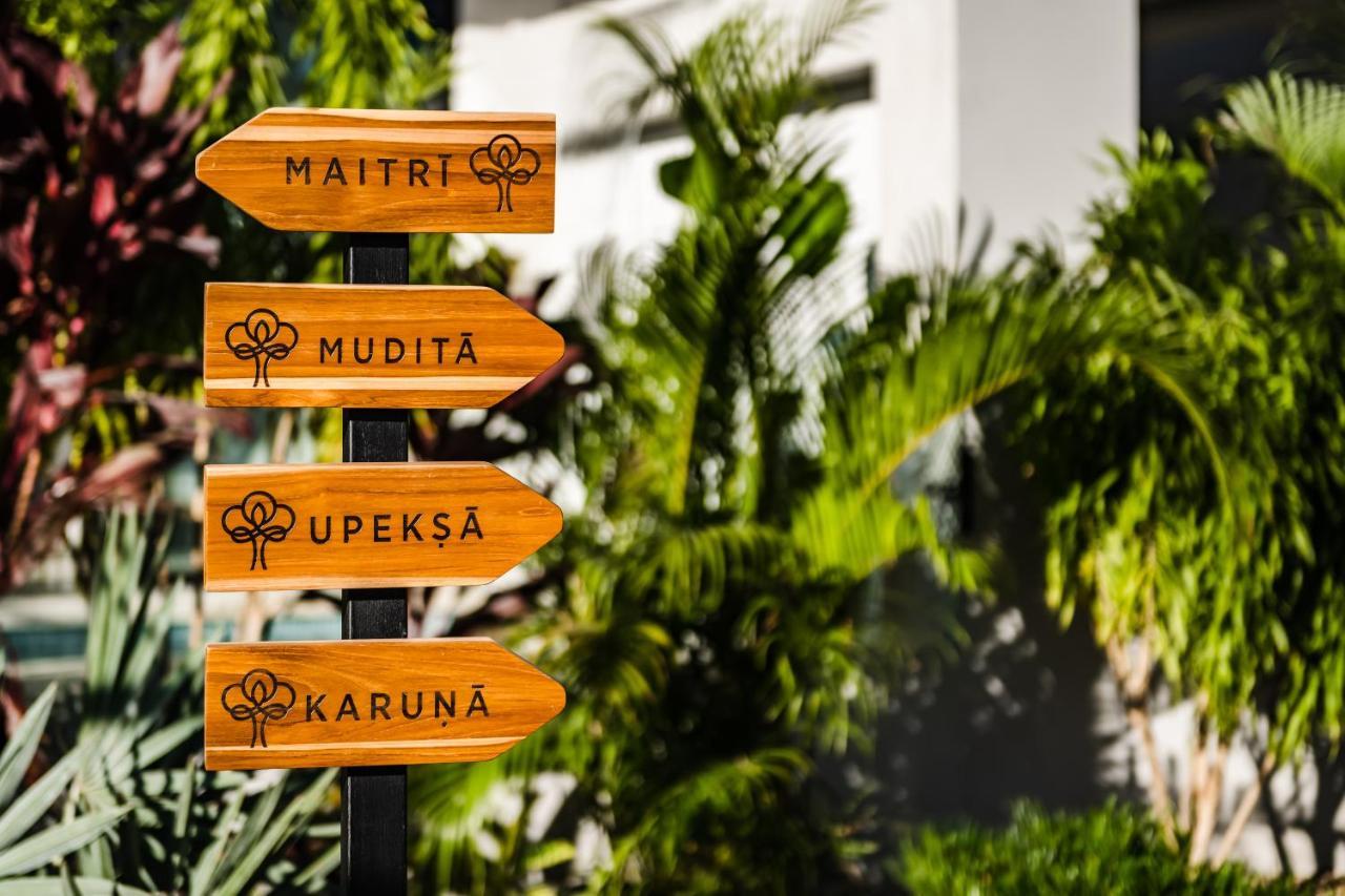 Mvillas Luxury Villas With Beach Club Access & Sauna Tamarindo Eksteriør bilde