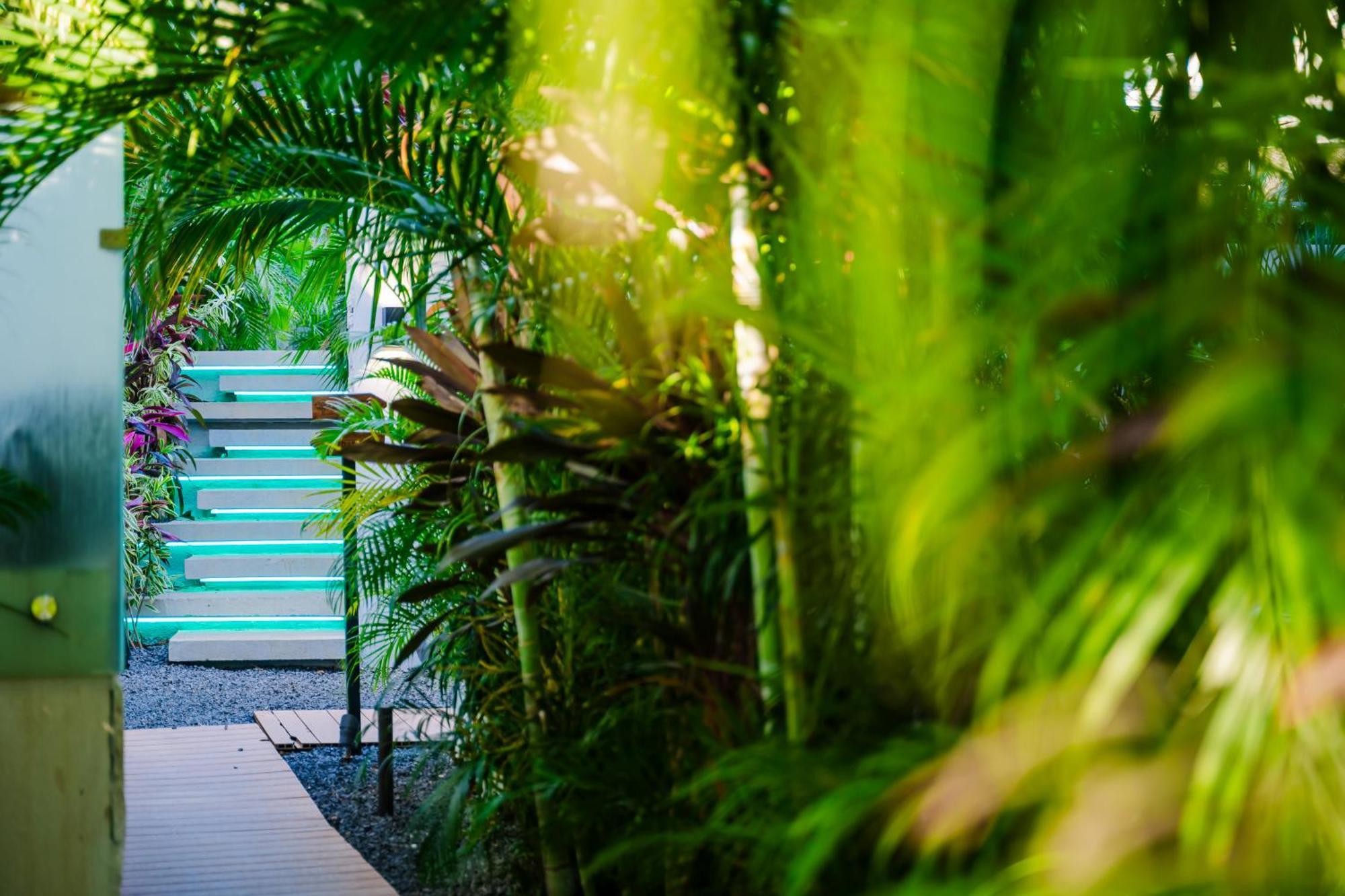 Mvillas Luxury Villas With Beach Club Access & Sauna Tamarindo Eksteriør bilde